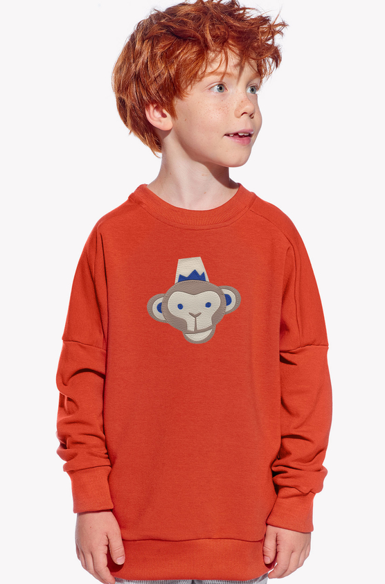 Kapucnis pulóver majommal