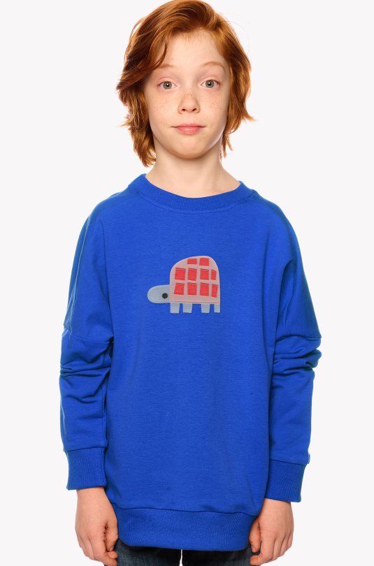 Hoodie with a turtle