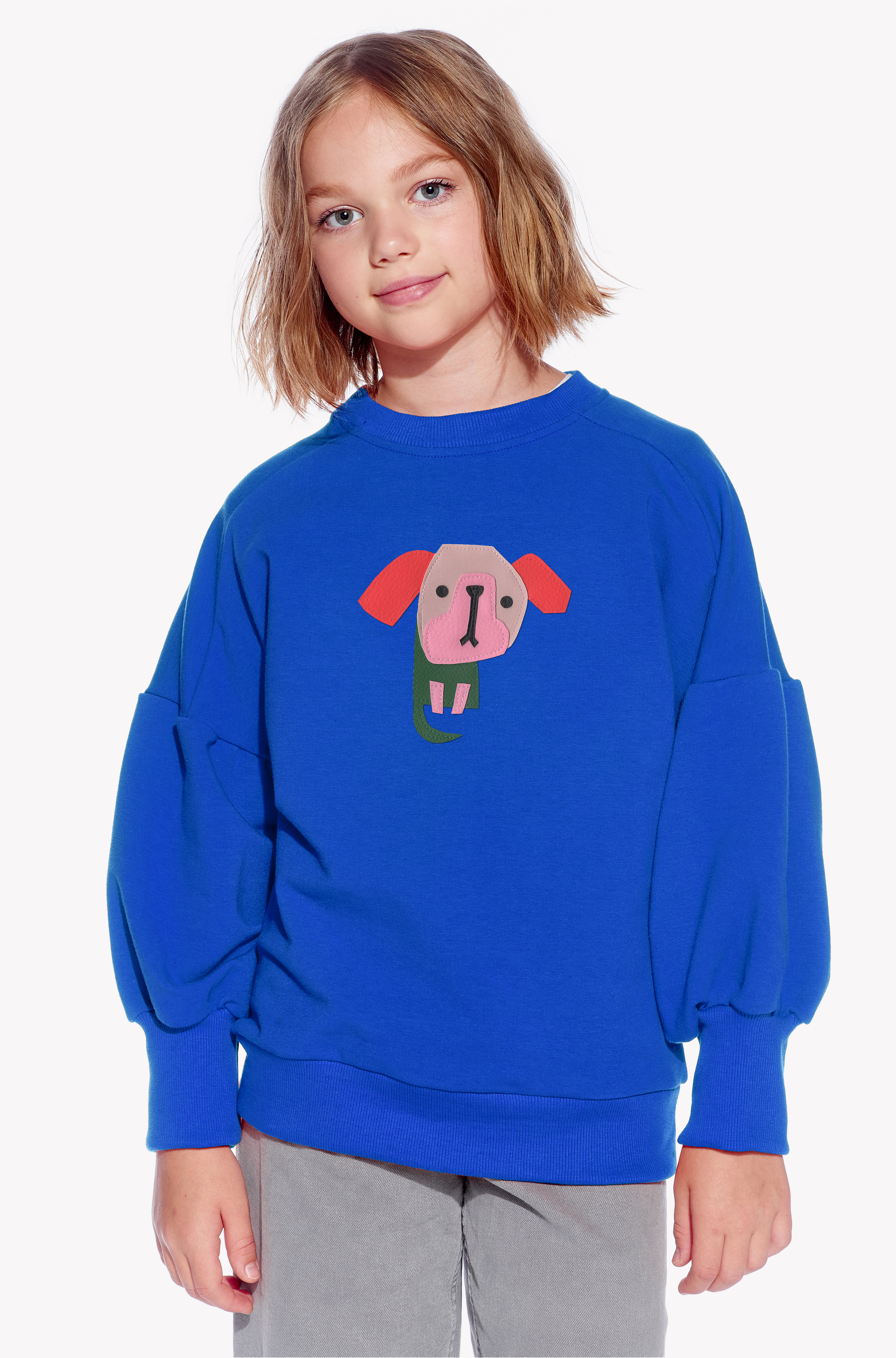 Sweatshirt mit einem Hund