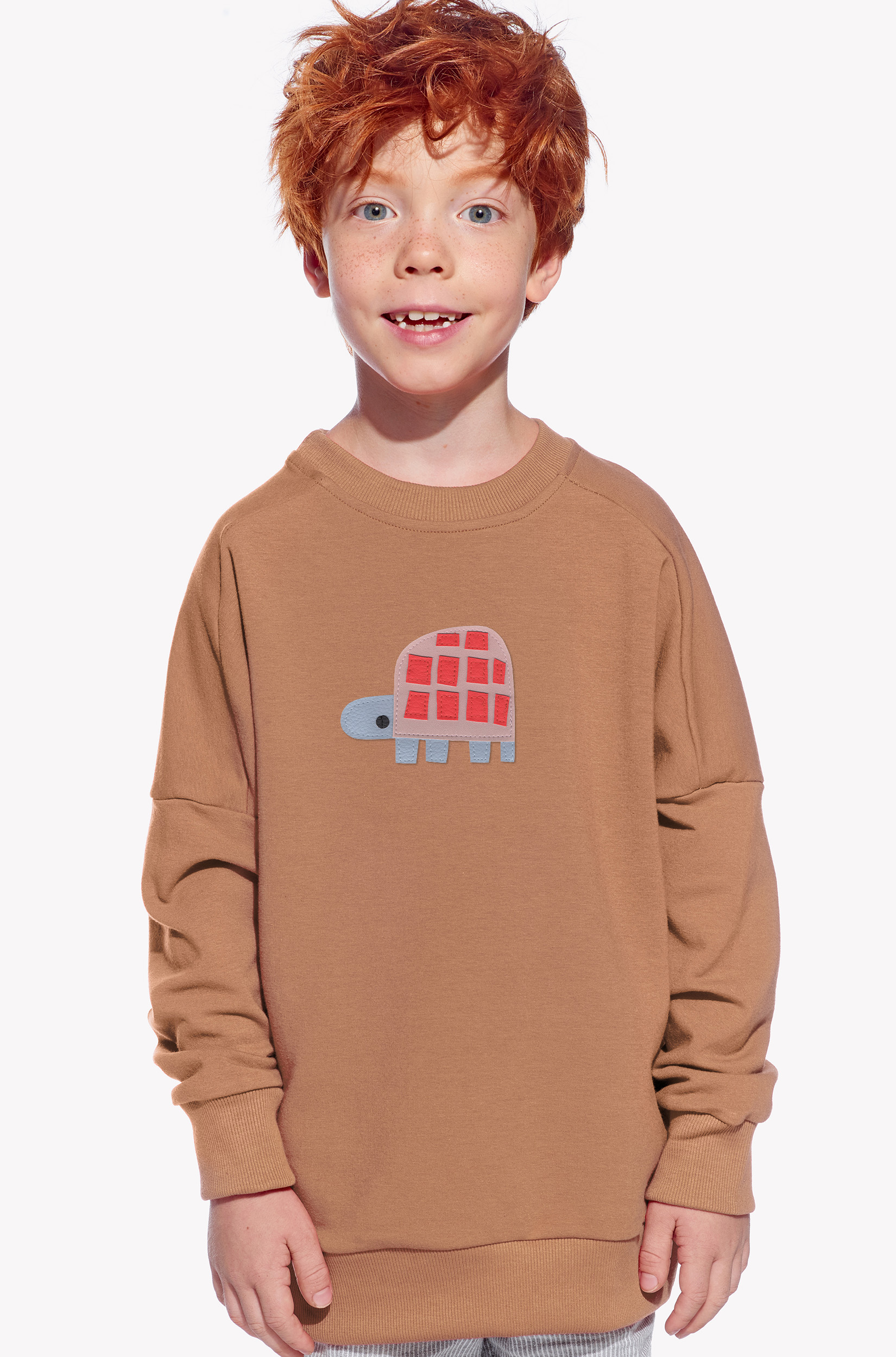 Sweatshirt mit einer Schildkröte
