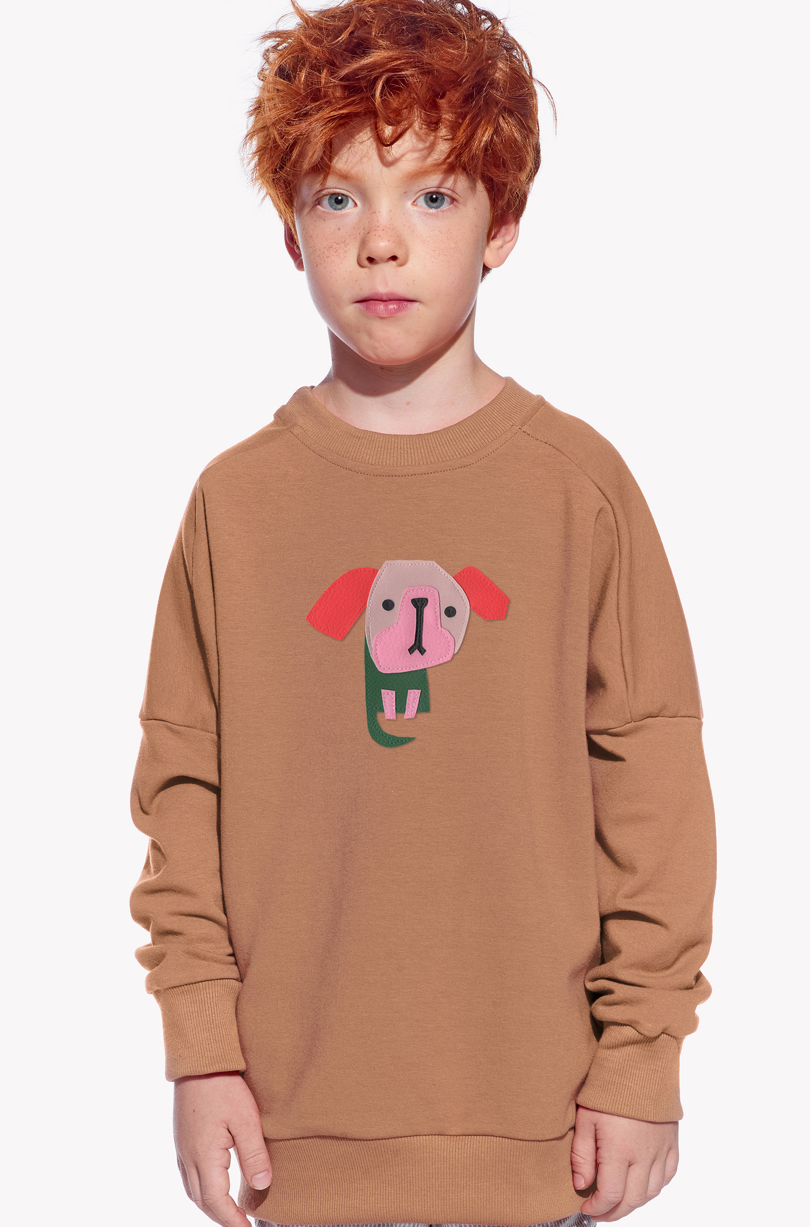 Sweatshirt mit einem Hund